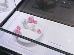 -BLACKSWAN黑天鹅(环球店)