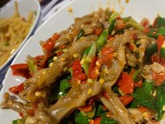 -壹盏灯(惠农店)