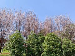 -南京市江宁方山