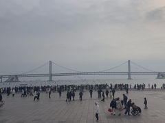 -星海湾跨海大桥