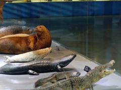 -泉城欧乐堡海洋极地世界