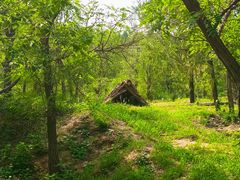 -白水寺森林公园