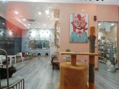 -BABIT巴比特宠物(MOMOPARK店)