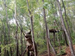 -帽儿山风景区