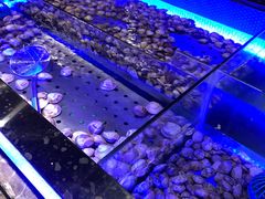 -韩京炭火烤肉自助料理(柯桥万达店)
