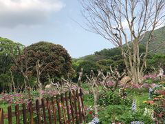 -深圳仙湖植物园