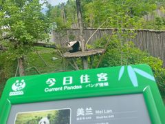 -成都鼓楼智选假日酒店-餐厅