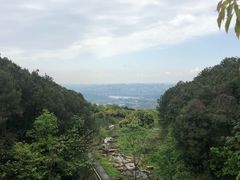 -铁山坪森林公园