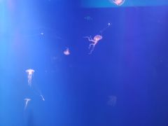 -南昌融创海世界