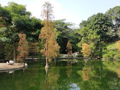 -广州市白云山风景名胜区