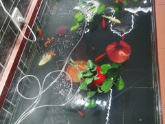 -二姐家三个拿手菜·北塘海鲜·大馅锅贴王(成林道店)