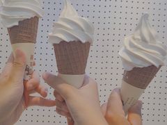 -喜茶(迪士尼小镇DP店)
