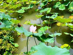 -韩湘水博园