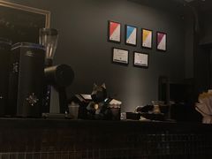 -解药·antidote Cafe&Bar