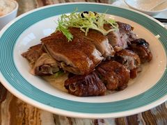 -椿记烧鹅(叠彩店)