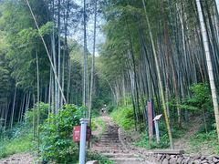-五泄景区