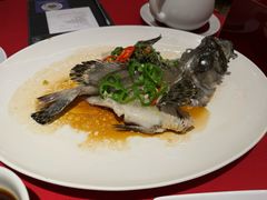-利苑酒家(华熙国际店)