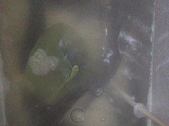 -金三可市井水煮鱼(金碧园店)