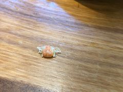 -九寸花汀(摩天活力城店)