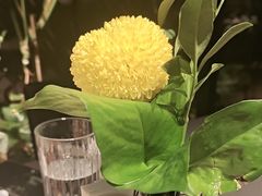 -拉蒂娜·巴西牛排馆 Latina·Brazilian Steakhouse(王府井喜悦店)