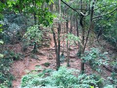 -火炉山森林公园