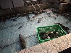 -鱼窝棚柴火铁锅炖(富山屯店)