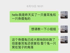 -宠爱我(南山店)