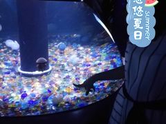 -成都浩海立方海洋公园