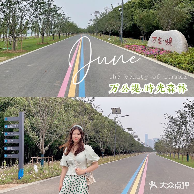 绿皮火车上竟藏着一家茶餐厅 ‼️吴江新晋网红打卡地速来打卡🤙