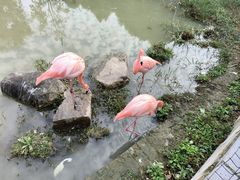 -上方山森林动物世界