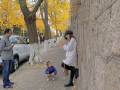 -八大关景区