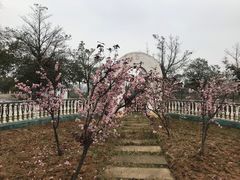 -三江森林温泉度假区