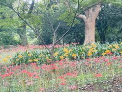 -杭州植物园