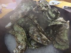 -蚝专家(北滘店)
