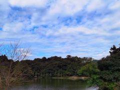 -广州市石门国家森林公园
