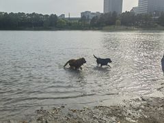 -美兰湖景区
