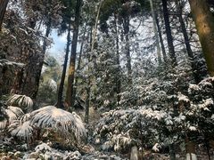 -莫干山风景区