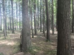 -采石矶景区