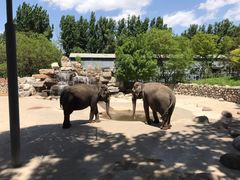 -北京野生动物园