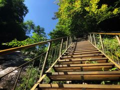 -青峰峡国家森林公园