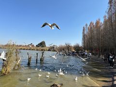 -捞渔河湿地公园