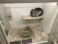 -龙猫仔乐园(惠福东路店)