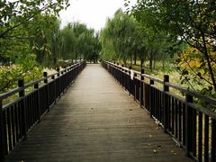 -武清南湖绿博园