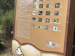 -重庆云阳龙缸景区