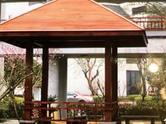 -黄山轩辕国际大酒店