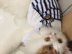 -成都民大动物医院