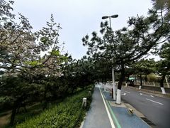 -青岛第三海水浴场