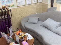 -宠爱国际动物医院·消化内科·心肾内科·ISFM猫友好(望京店)