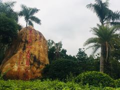 景点-阳台山森林公园