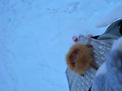 -密苑云顶乐园(云顶滑雪场)